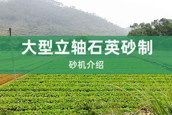 大型立軸石英砂制砂機(jī)介紹