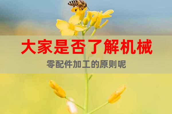 大家是否了解機(jī)械零配件加工的原則呢