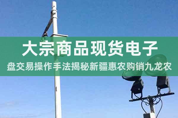 大宗商品現(xiàn)貨電子盤(pán)交易操作手法揭秘新疆惠農(nóng)購(gòu)銷(xiāo)九龍農(nóng)產(chǎn)品