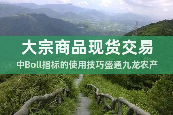 現貨交易中Boll指標盛通九龍農產品南北優(yōu)品盛通秦嶺市場