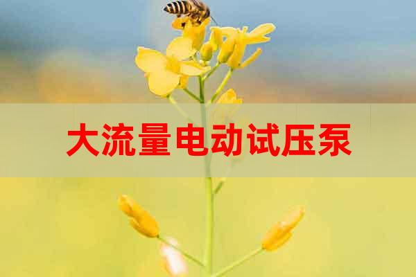 大流量電動試壓泵