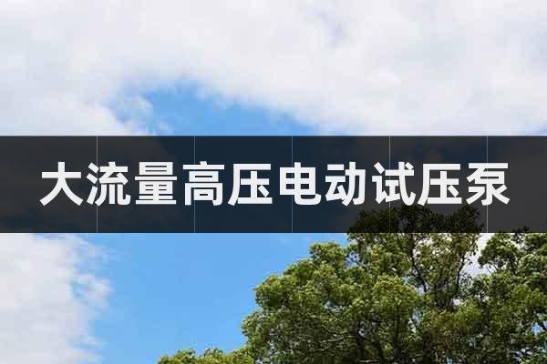 大流量高壓電動試壓泵