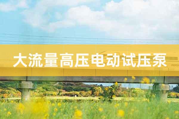 大流量高壓電動試壓泵