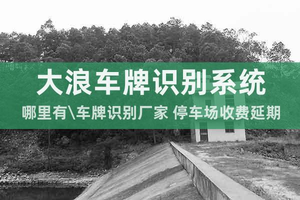 大浪車牌識(shí)別系統(tǒng)哪里有\(zhòng)車牌識(shí)別廠家 停車場收費(fèi)延期