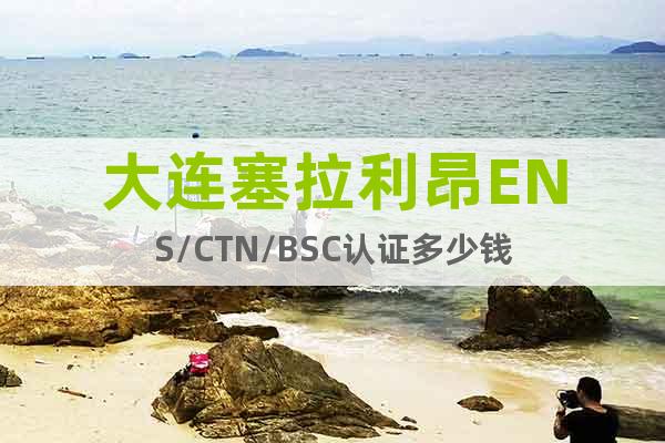 大連塞拉利昂ENS/CTN/BSC認證多少錢