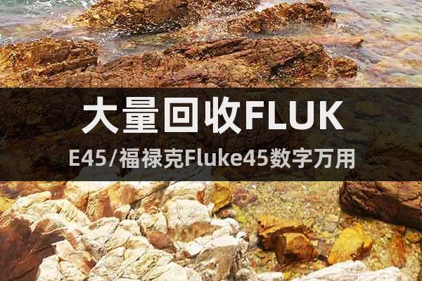 大量回收FLUKE45/福禄克Fluke45数字万用表收购