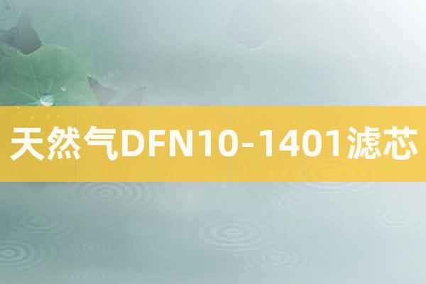 天然氣DFN10-1401濾芯