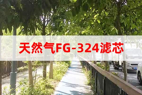 天然氣FG-324濾芯