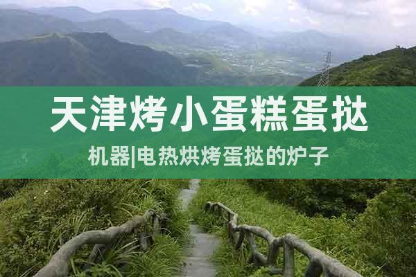 天津烤小蛋糕蛋撻機器|電熱烘烤蛋撻的爐子
