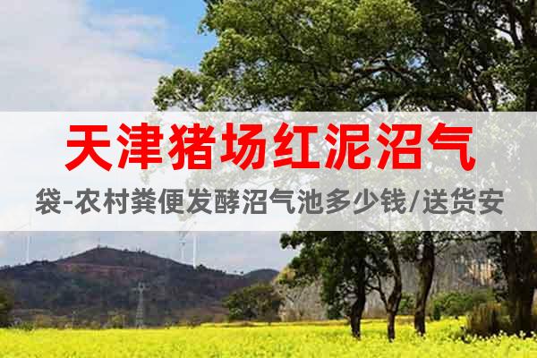天津猪场红泥沼气袋-农村粪便发酵沼气池多少钱/送货安装