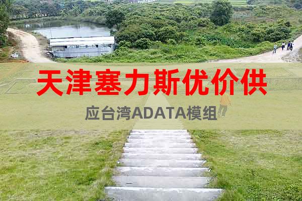 天津塞力斯優(yōu)價供應臺灣ADATA模組