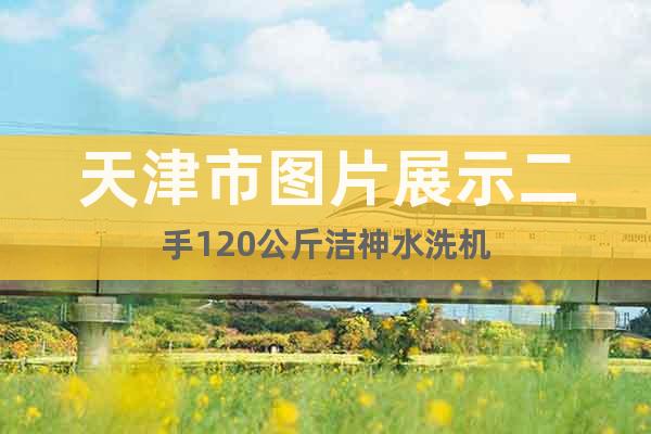 天津市圖片展示二手120公斤潔神水洗機(jī)