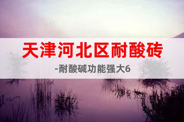 天津河北区耐酸砖-耐酸碱功能强大6