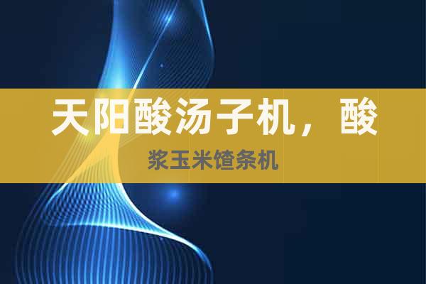 天陽酸湯子機(jī)，酸漿玉米馇條機(jī)