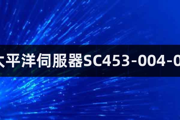 太平洋伺服器SC453-004-05