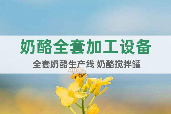 奶酪全套加工設(shè)備 全套奶酪生產(chǎn)線 奶酪攪拌罐
