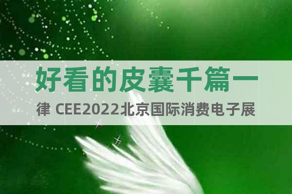 好看的皮囊千篇一律 CEE2022北京国际消费电子展万里挑一