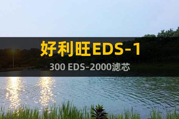 好利旺EDS-1300 EDS-2000滤芯