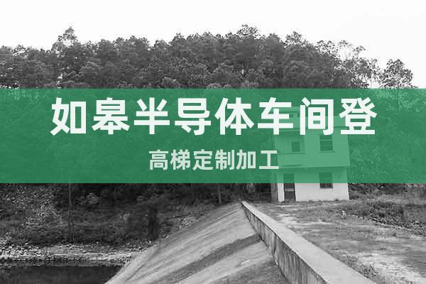 如皋半導(dǎo)體車間登高梯定制加工