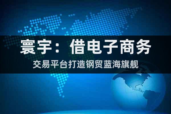 寰宇：借電子商務交易平臺打造鋼貿(mào)藍海旗艦