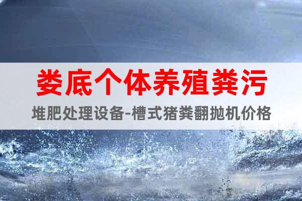 婁底個體養(yǎng)殖糞污堆肥處理設備-槽式豬糞翻拋機價格