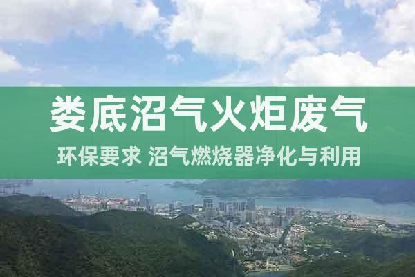 婁底沼氣火炬廢氣環(huán)保要求 沼氣燃燒器凈化與利用