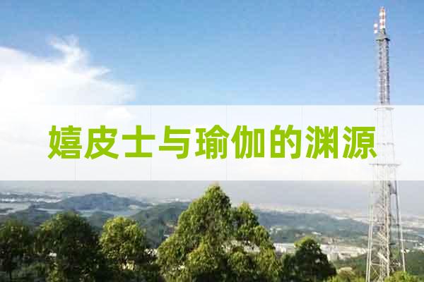 嬉皮士與瑜伽的淵源