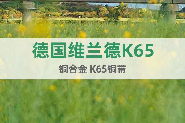德國(guó)維蘭德K65銅合金 K65銅帶
