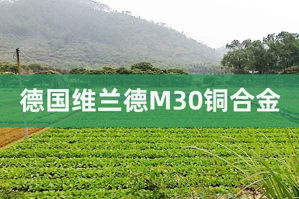 德國(guó)維蘭德M30銅合金