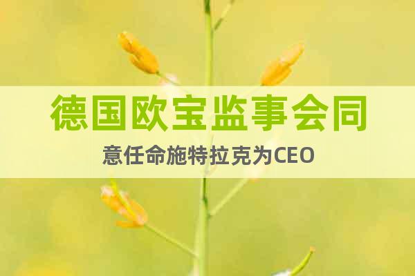 德國歐寶監(jiān)事會同意任命施特拉克為CEO