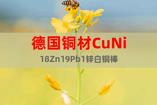 德國銅材CuNi18Zn19Pb1鋅白銅棒