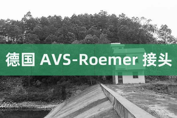 德国 AVS-Roemer 接头