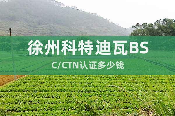 徐州科特迪瓦BSC/CTN认证多少钱