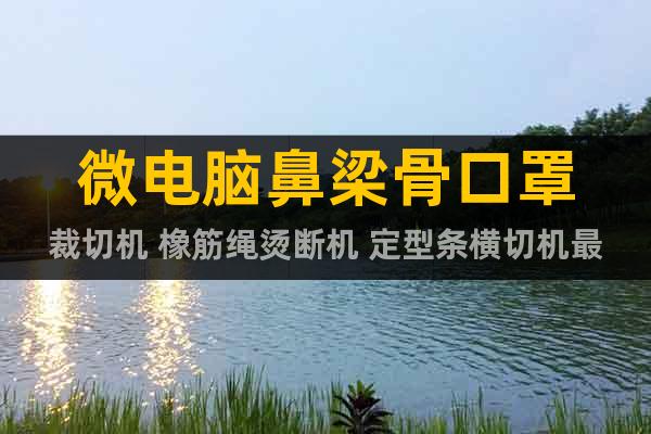 微電腦鼻梁骨口罩裁切機 橡筋繩燙斷機 定型條橫切機最新價格