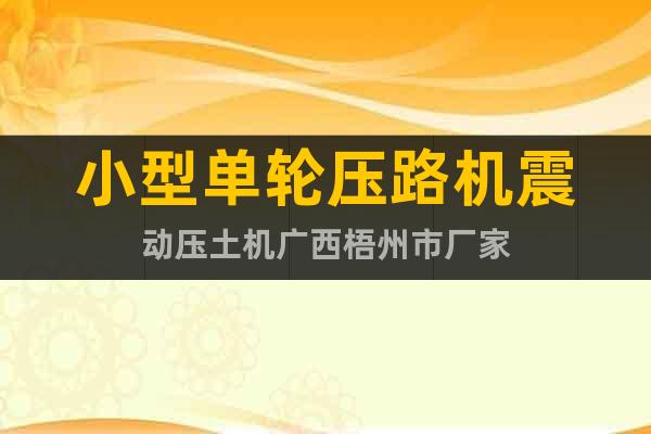 小型單輪壓路機(jī)震動(dòng)壓土機(jī)廣西梧州市廠家