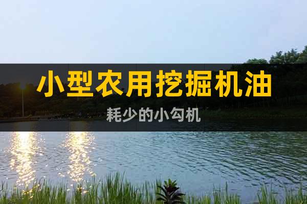 小型農(nóng)用挖掘機(jī)油耗少的小勾機(jī)