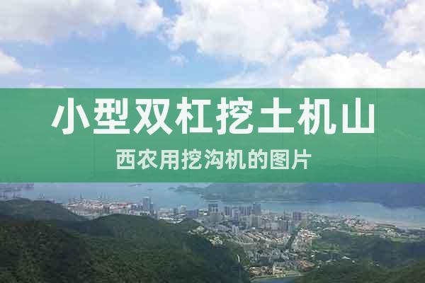 小型雙杠挖土機(jī)山西農(nóng)用挖溝機(jī)的圖片