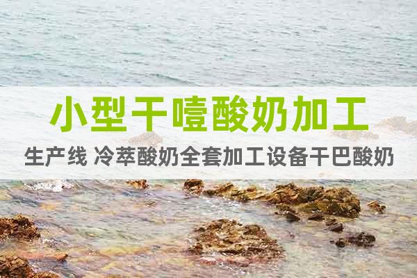 小型干噎酸奶加工生產(chǎn)線(xiàn) 冷萃酸奶全套加工設(shè)備干巴酸奶壓制機(jī)