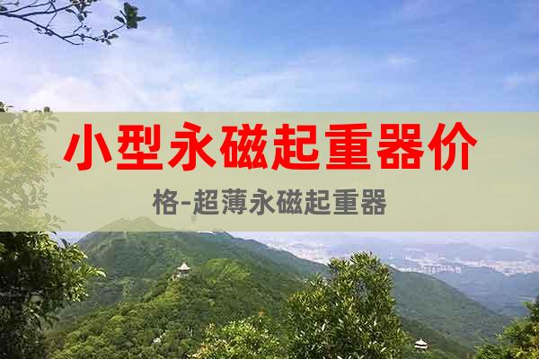 小型永磁起重器價格-超薄永磁起重器