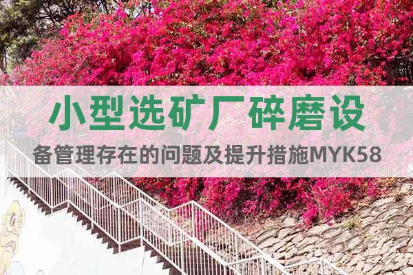 小型選礦廠碎磨設(shè)備管理存在的問題及提升措施MYK58