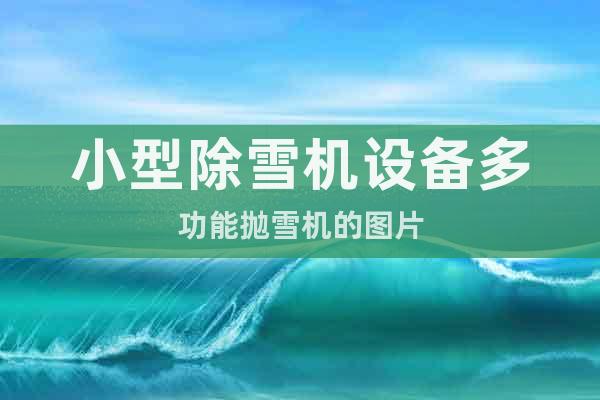小型除雪機(jī)設(shè)備多功能拋雪機(jī)的圖片