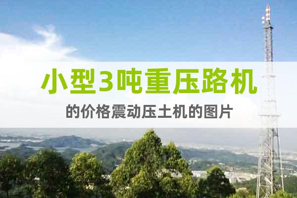 小型3噸重壓路機(jī)的價(jià)格震動(dòng)壓土機(jī)的圖片