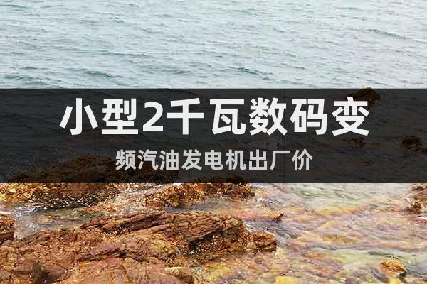 小型2千瓦數(shù)碼變頻汽油發(fā)電機(jī)出廠價(jià)