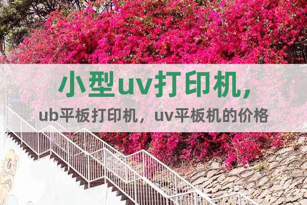 小型uv打印機(jī),ub平板打印機(jī)，uv平板機(jī)的價格