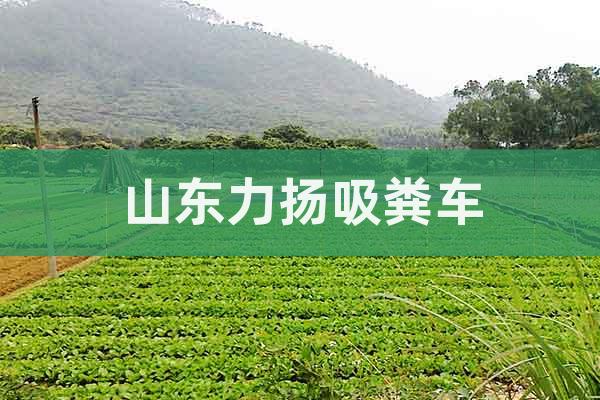 山東力揚(yáng)吸糞車