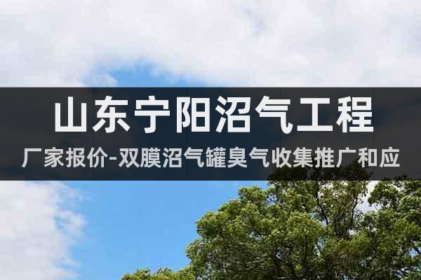 山東寧陽沼氣工程廠家報價-雙膜沼氣罐臭氣收集推廣和應(yīng)用
