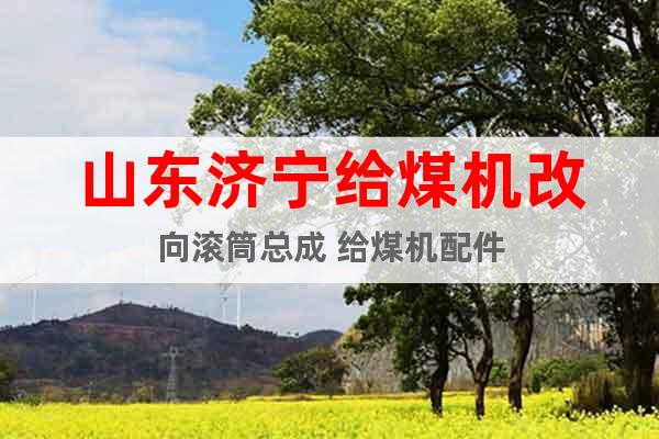 山東濟(jì)寧給煤機(jī)改向滾筒總成 給煤機(jī)配件