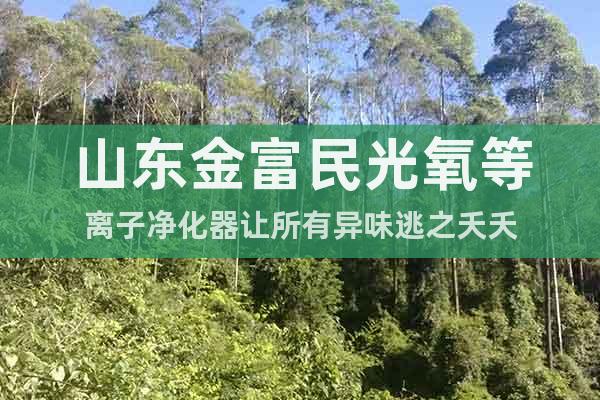 山東金富民光氧等離子凈化器讓所有異味逃之夭夭
