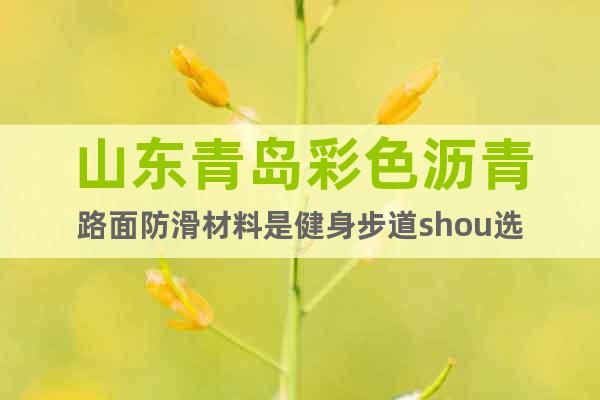 山東青島彩色瀝青路面防滑材料是健身步道shou選