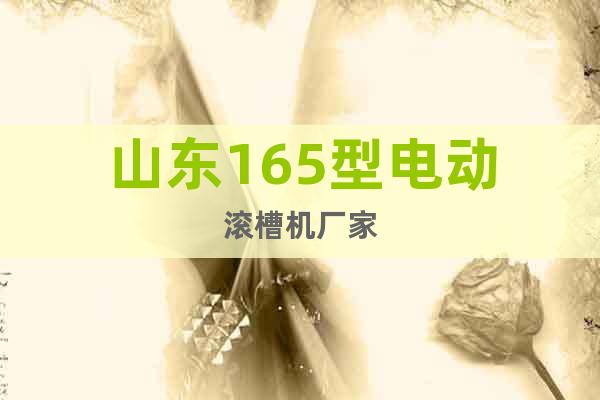 山東165型電動滾槽機廠家
